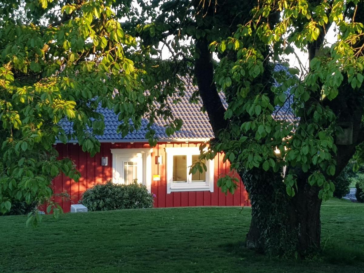Ferienhaus Loeh Kleinmaischeid Exterior foto